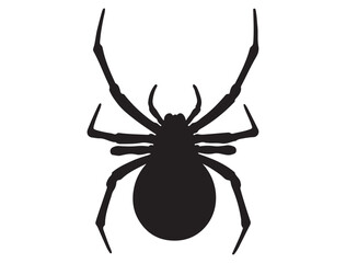  BLACK WIDOW SILHOUETTE