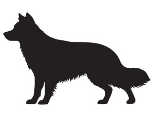 BODER COLLIE DOG SILHOUETTE