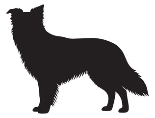 BODER COLLIE DOG SILHOUETTE
