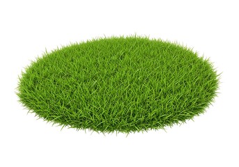 Isolated patch of vibrant green grass on a white background in a studio shot for design element