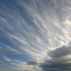 Obraz premium Soft Horizons Under Cirrostratus Skies