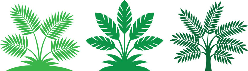  Tropical Tree Vectors for Your Designs ,Tropical Tree Vectors , Create Vibrant Designs with Beautiful Tropical Tree Vector Art , 
