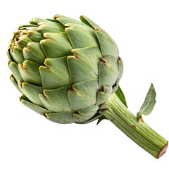 Obraz premium Fresh artichoke isolated on white background png ai isolated on a white background