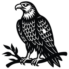 Eagle icons 