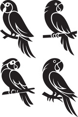 Cute Cartoon Bird , Colorful Cartoon Bird Vector , Adorable Cartoon Bird Illustration