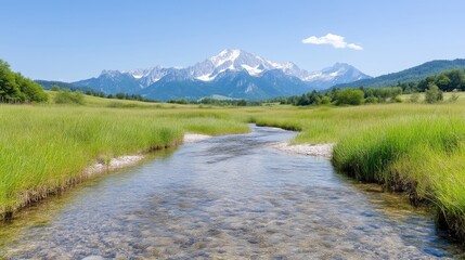 Fototapeta premium Crystal-clear stream winding through lush meadow, majestic mountains in the background
