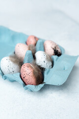 Speckled Easter eggs with feathers  in a blue carton