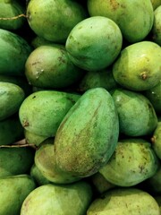 Fresh Green Mangoes Close-Up – Tropical Unripe Mango Fruit for Culinary and Health Use
