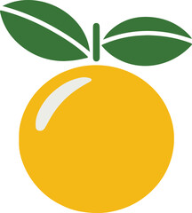 Fresh Orange Vector Collection – Perfect for Food, Organic, and Healthy Lifestyle Designs , Juicy Orange Fruit Illustration , Orange Fruit Vector