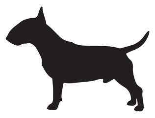 BULL TERRIER DOG SILHOUETTE