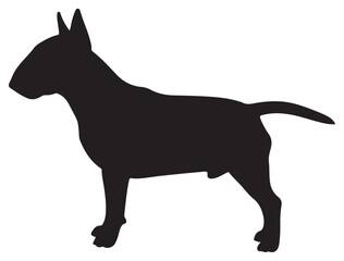 BULL TERRIER DOG SILHOUETTE