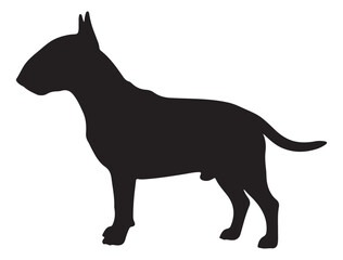BULL TERRIER DOG SILHOUETTE