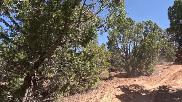 Driving follow off road trail juniper tree forest Utah POV. Southern Utah off road recreation nature and exploring. Desert mountain canyon river valley trail ride adventure area. Remote wilderness.