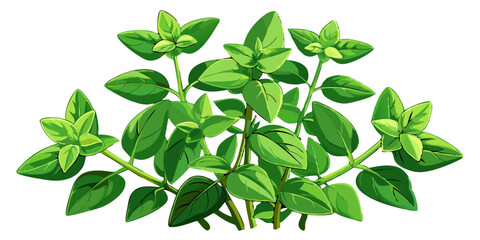 green leaves isolated on white