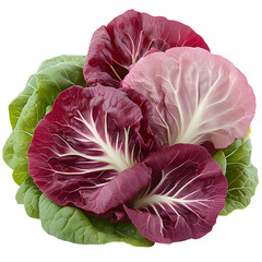 Obraz premium Closeup red white radicchio