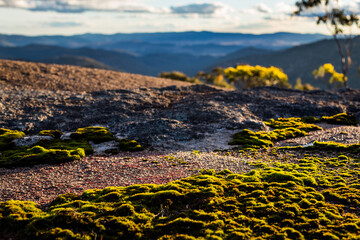 Mossy Rocks with View