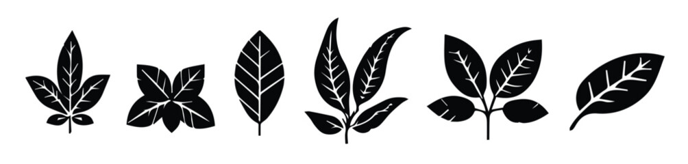 Set of Green leaf icons set. Leaves icon on isolated background. Collection green leaf. Elements design for natural, eco, vegan, bio labels