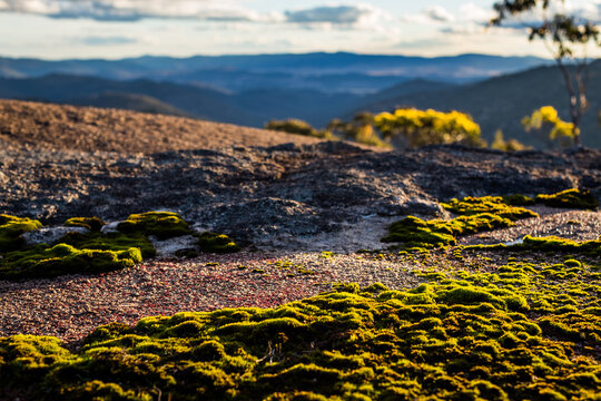 Mossy Rocks with View