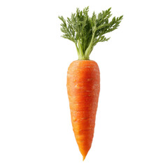 Whole orange carrot with fresh green top is centered on transparency background, showcasing its vibrant color and natural texture