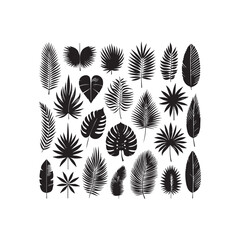 ropical leaves, palm leaves silhouettes, diverse collection, black shapes