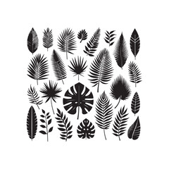 ropical leaves, palm leaves silhouettes, diverse collection, black shapes