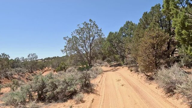 Driving sandy trail off road juniper tree forest Utah POV 4K. Off road trail riding 4x4 all terrain vehicle sport and recreation. Dry arid landscape. Rocky terrain, mountain cliff and canyon valley.