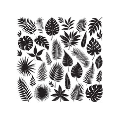 ropical leaves, palm leaves silhouettes, diverse collection, black shapes
