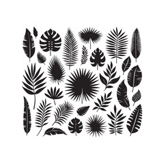 ropical leaves, palm leaves silhouettes, diverse collection, black shapes