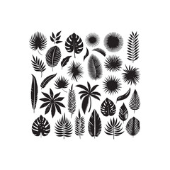 ropical leaves, palm leaves silhouettes, diverse collection, black shapes