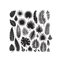 ropical leaves, palm leaves silhouettes, diverse collection, black shapes