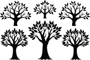 Obraz premium Beautiful Ash Tree Set Isolated Silhouette Vector Illustration Natural Forest Elements Collection Art