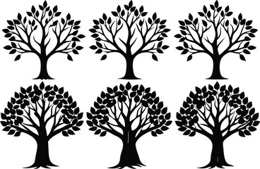 Fototapeta premium Beautiful Ash Tree Set Isolated Silhouette Vector Illustration Natural Forest Elements Collection Art