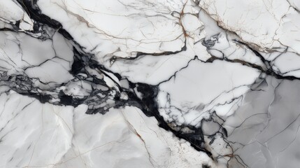 White marble texture with flowing black and gray veins creating a modern, elegant, and natural abstract design