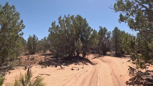Driving sandy trail off road juniper tree forest Utah 4K. Off road trail riding 4x4 all terrain vehicle sport and recreation. Dry arid landscape. Rocky terrain, mountain cliff and canyon valley.