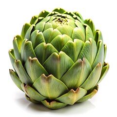 Artichoke isolated on white background