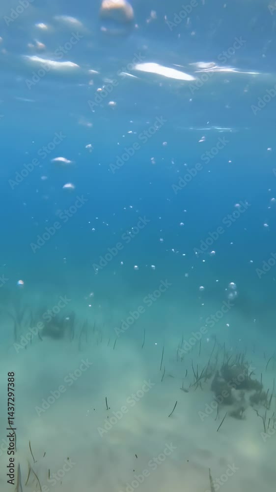 Canvas Prints vertical video underwater slow motion bubbles moving to surface