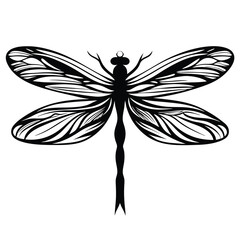 Detailed Dragonfly Silhouette Black and White Insect With Intricate Wings