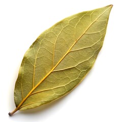 Obraz premium Dried bay leaf isolated on white background