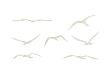 Flying seagulls flock silhouette watercolor illustration set isolated on white. Simple grey clip art for seascape or ocean designs with migrating birds