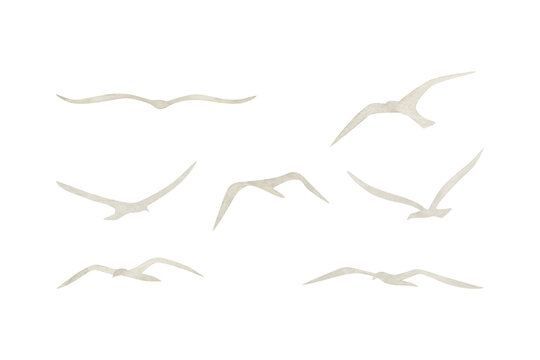 Flying seagulls flock silhouette watercolor illustration set isolated on white. Simple grey clip art for seascape or ocean designs with migrating birds