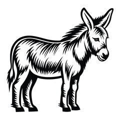 Black and White Donkey Illustration, Traditional Style, Animal, Mammal, Isolated