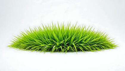  Isolated Patch of Vibrant Green Grass on White Background