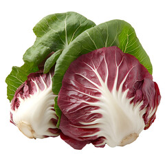 Obraz premium Fresh radicchio heads close up