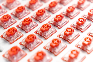 Close-up of red mechanical keyboard switches aligned on white PCB plate for custom assembly