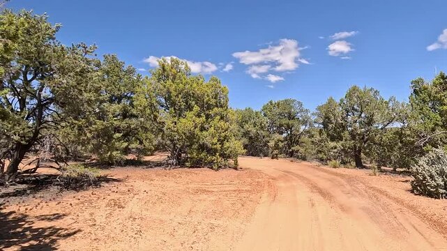 Driving windy trail off road juniper tree forest Utah 4K. Off road trail riding 4x4 all terrain vehicle sport and recreation. Dry arid landscape. Rocky terrain, mountain cliff and canyon valley.