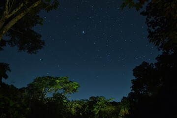 Naklejka premium Starry night sky over ancient Tikal ruins and jungle canopy