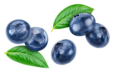 Flying blueberry isolated on white background