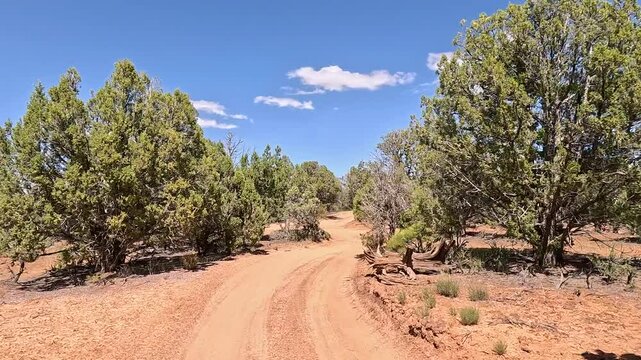 Driving trail off road juniper tree forest Utah 4K. Off road trail riding 4x4 all terrain vehicle sport and recreation. Dry arid landscape. Rocky terrain, mountain cliff and canyon valley.