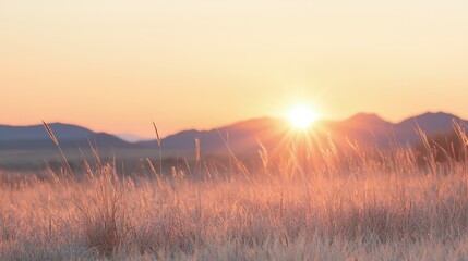 Sunrise Over Grassy Field and Mountains