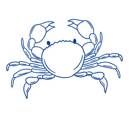 Crab illustration with detailed features showcasing its unique structure and design